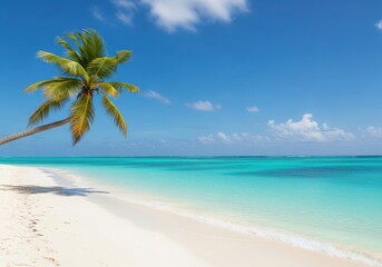 A tropical island paradise with a palm tree on a white sand beach