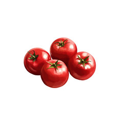 Four fresh tomatoes, cluster of four fresh tomatoes with glossy red skin, isolated on transparent background
