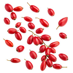 Scattered red barberry fruits isolated on transparent background