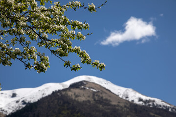 Beautiful mountain landscape. Clouds in the sky. Green grass. Snow on mountain peaks.	

