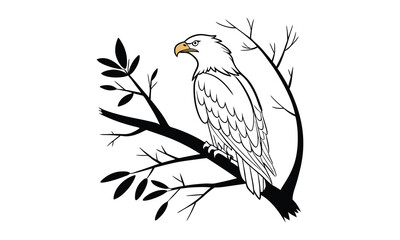 A Eagle Vector illustration of  perched on a bare tree branch. Includes full-color and outline versions, ideal for wildlife art, education, or coloring.