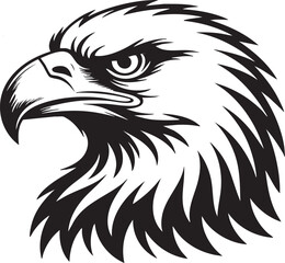 Fototapeta premium Black And White Eagle Head Illustration With Sharp Beak And Feathers
