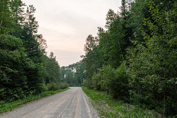 Trail in the Forest, Road, 2 Track - Travel - Wilderness, Path Canada