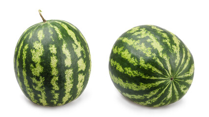 Watermelon variety Baraka F1. Watermelon Baraka F1 is an excellent choice for those who want to get an early, high-quality and tasty harvest of watermelons with minimal effort.