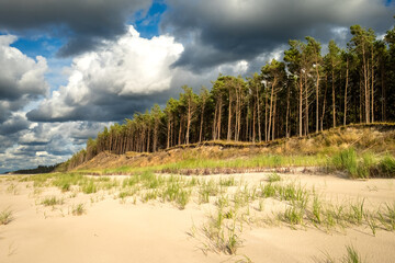 Krajobraz plaży bałtyckiej