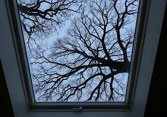 Minimalist Halloween Home Decor Skylight View of Winter Tree