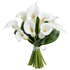 Obraz premium Calla Lilies bouquet isolated on transparent background
