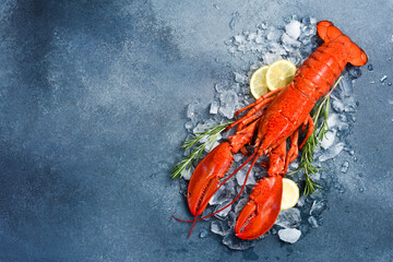 Delicious boiled lobster with ice cubes and lemon. On a stone background. Top view, free space for text. Fresh seafood. © Yaruniv-Studio