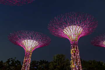 Fantastic place in the Singapore Supertree Grove  © Daniel