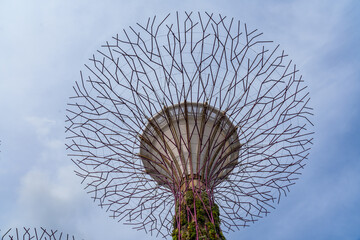 Fantastic place in the Singapore Supertree Grove  © Daniel