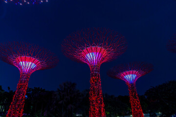 Fantastic place in the Singapore Supertree Grove  © Daniel
