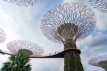 Fantastic place in the Singapore Supertree Grove  © Daniel