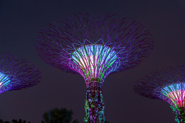 Fantastic place in the Singapore Supertree Grove  © Daniel