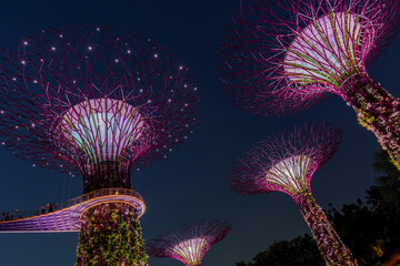 Fantastic place in the Singapore Supertree Grove  © Daniel