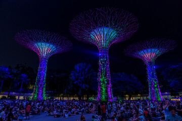 Fantastic place in the Singapore Supertree Grove  © Daniel