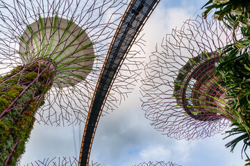 Fantastic place in the Singapore Supertree Grove  © Daniel