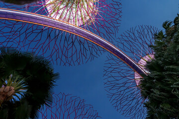 Fantastic place in the Singapore Supertree Grove  © Daniel