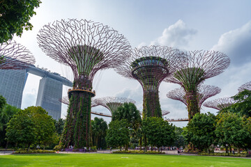 Fantastic place in the Singapore Supertree Grove  © Daniel