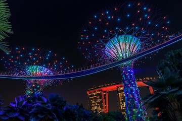 Fantastic place in the Singapore Supertree Grove  © Daniel