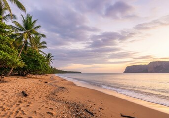 Tropical beach at sunrise with palm trees, calm ocean, and colorful sky
