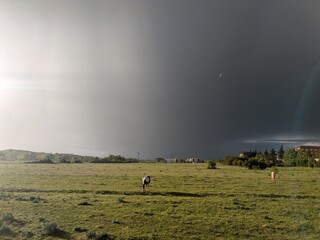 light and dark sky with rain and horse 