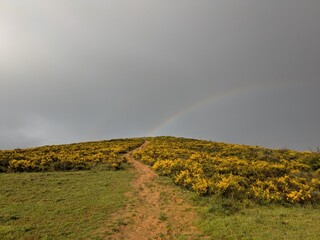 rainbow over the fields