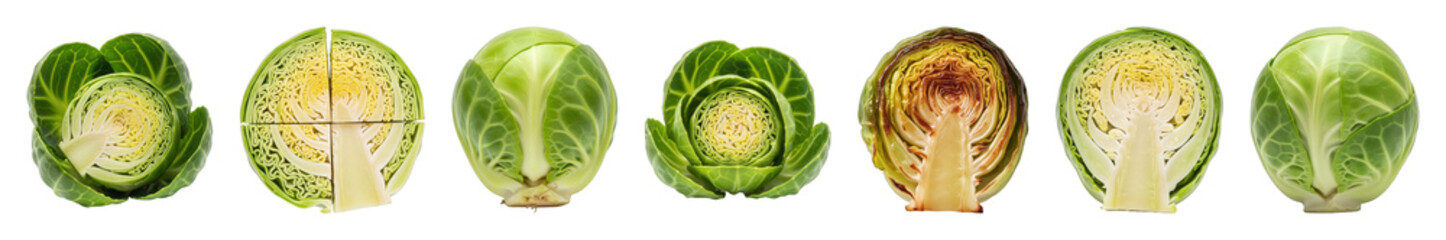 Fototapeta premium Green Brussels sprout set including whole, halved, and open variations isolated. Healthy vegetable food for cooking and diet.