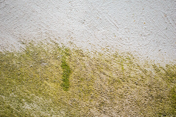Imagen horizontal de una pared vieja con moho 