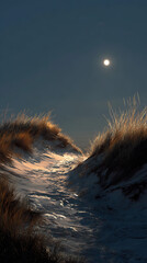Tranquil sandy path illuminated by moonlight in a serene coastal landscape at night