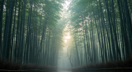 Obraz premium rays of light through the window