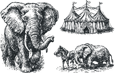 Obraz premium Vintage Drawing of Circus Tent and Elephants with Horse