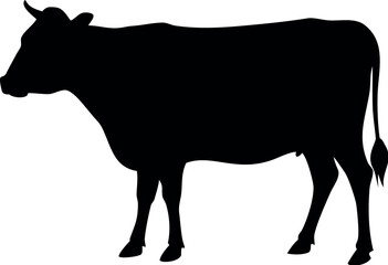 silhouette of a cow