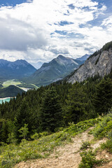 Fototapeta premium Scenic View of Rocky Mountains and Forest in Kananaskis Country