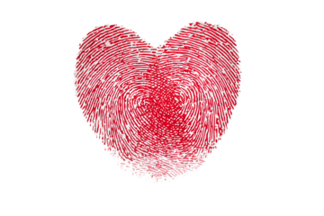 Red Fingerprint Heart Symbol Isolated on White Transparent Background