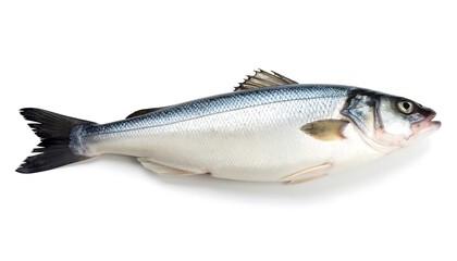 Obraz premium Fresh fish, whole, isolated