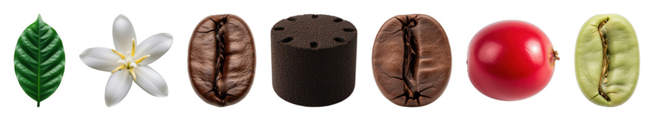 Obraz premium Coffee set including leaf, flower, cherry, green bean, roasted bean, and ground stages isolated. Production lifecycle and natural ingredients collection.