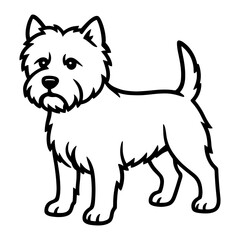 West Highland White Terrier Standing