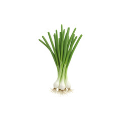 Fresh Green Onions Bunch Isolated on White Background – Organic Spring Scallions for Cooking