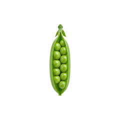Fresh green pea pod isolated on white background natural organic vegetable healthy cooking and vegan food concept
