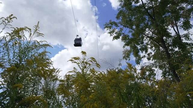 Yellow goldenrods Solidago canadensis soar into the sky, while a cable car passes by in the background. A summer scene.