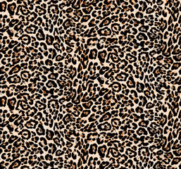 leopard print texture. seamless leopard skin pattern.
