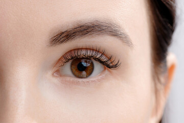 Fototapeta premium Female adult caucasian eyelash extension close-up beauty procedure, brown eye