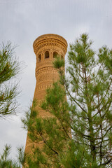 Beautiful madrasah in Bukhara in rainy weather