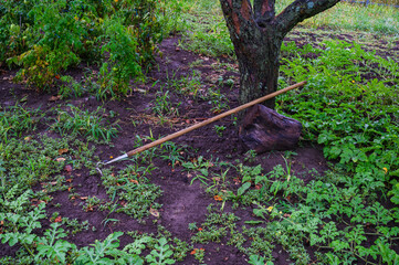 A Beautifully Crafted hje Positioned Atop a Tall Tree in a Manicured Garden