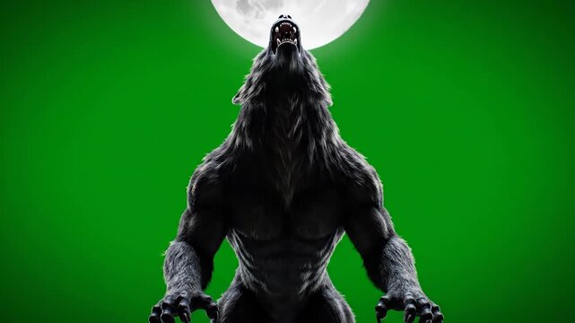 Werewolf Howling at the Moon - Green Screen - A muscular werewolf figure howls at a full moon in the night sky.
