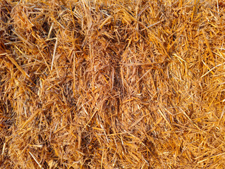 A close up of a pile of hay bales in a field
