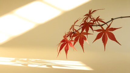 Red maple leaves on a branch with dappled sunlight