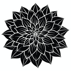 Black and white dahlia flower illustration with intricate petal design