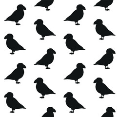 Vector seamless pattern of flat  puffin bird isolated on white background