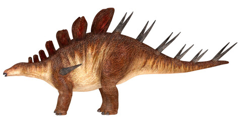 Stegosaurus dinosaur with plated back spines.